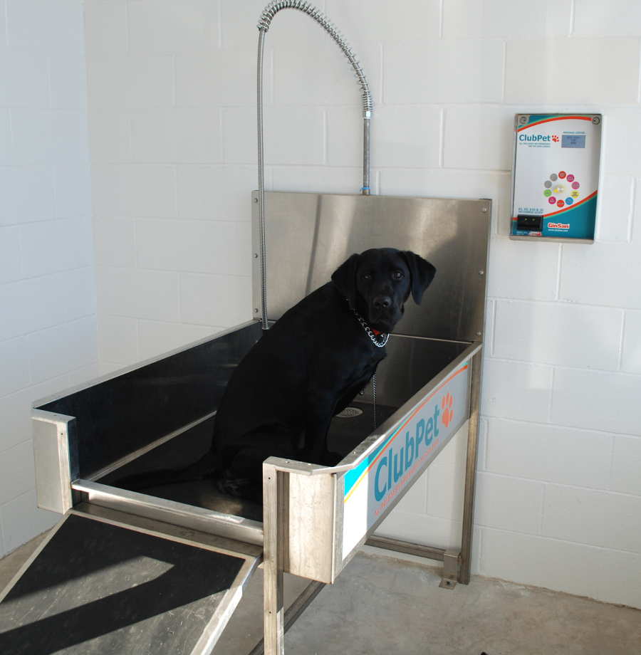 self dog bath